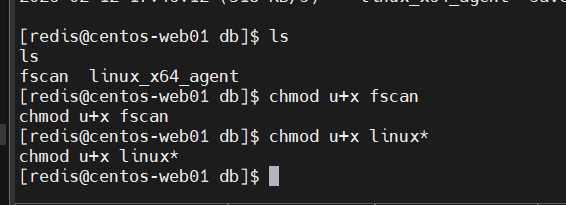 image-20260212174658995